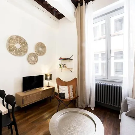 Spacious And Cozy In Vieux Ail アパート リヨン